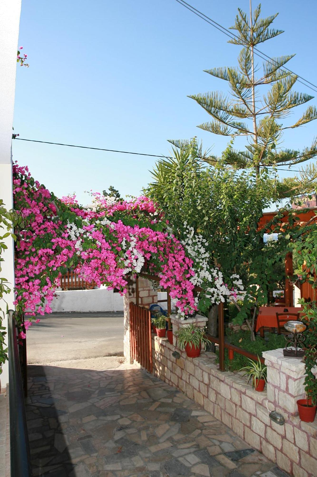 Kastro Apartments Panormos  Luaran gambar